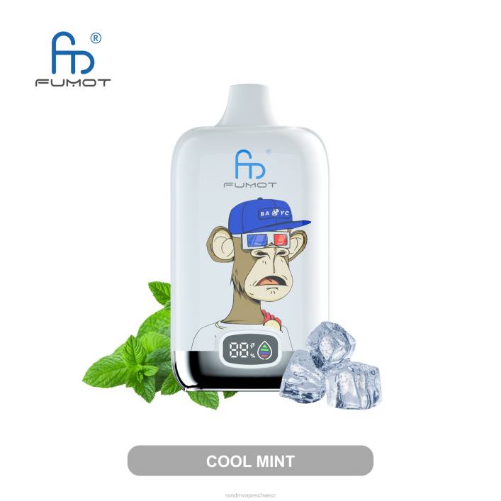 RandM Vape Schweiz | Fumot Original RandM Digital Box 00P21 12000-Akku und Liquid-Display-Vape-Gerät frische Minze